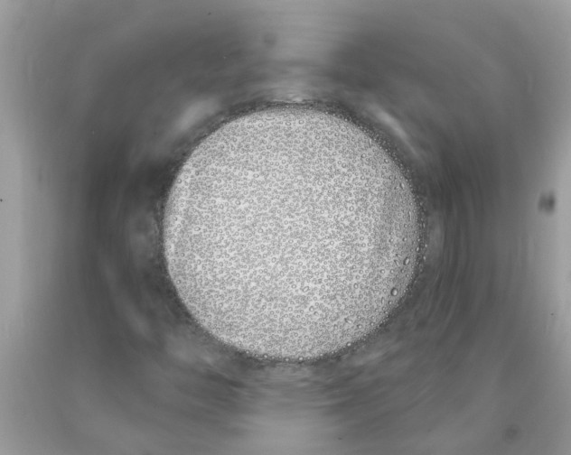 X0000089901446200707262241