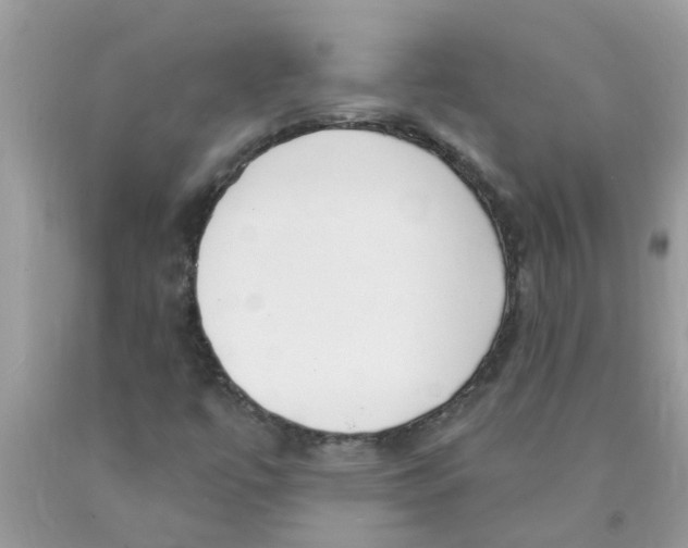 X0000089901447200707262241
