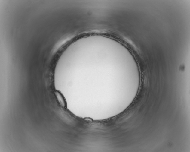 X0000089901448200707262241