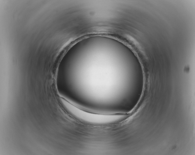 X0000089901449200707262241