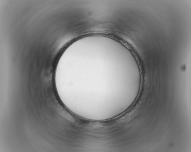 X0000089901450200707262241