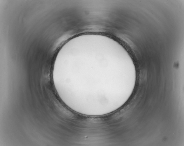 X0000089901451200707262241