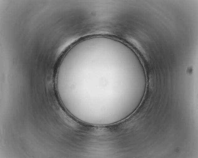 X0000089901452200707262241