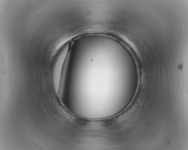 X0000089901453200707262241