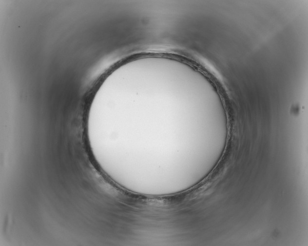 X0000089901456200707262241