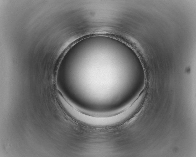 X0000089901457200707262241
