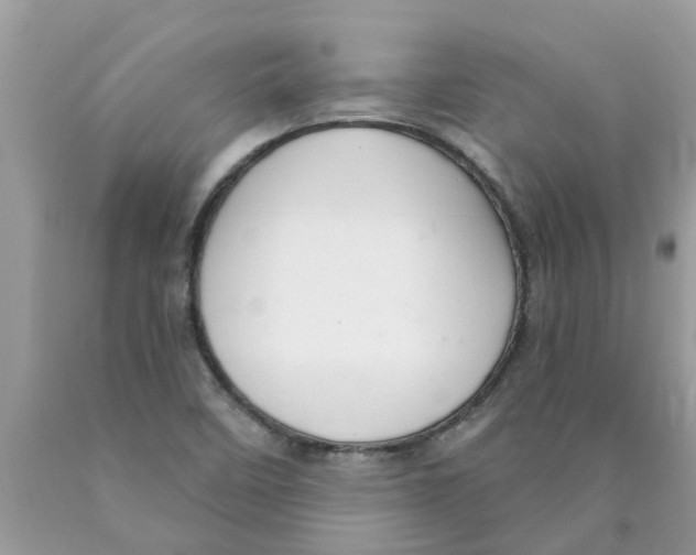 X0000089901458200707262241
