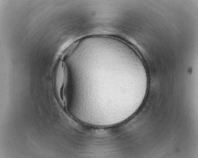 X0000089901459200707262241
