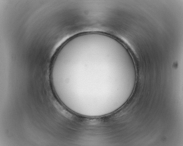 X0000089901460200707262241