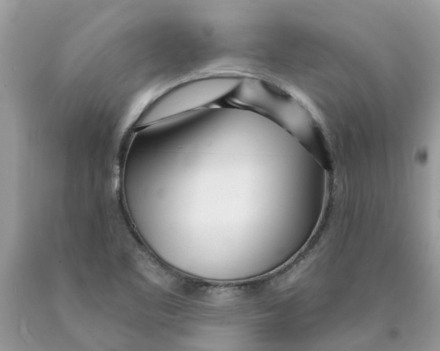 X0000089901461200707262241