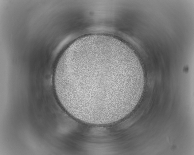 X0000089901462200707262241