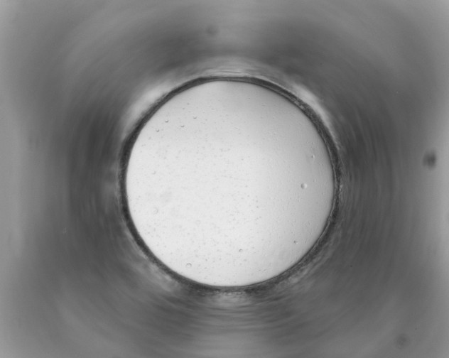 X0000089901464200707262241