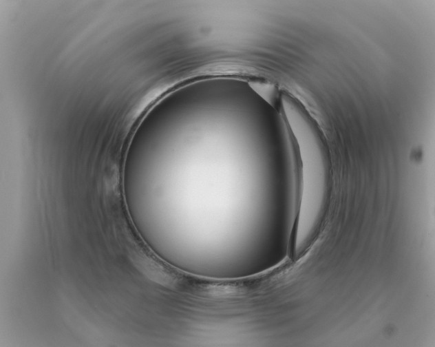 X0000089901465200707262241