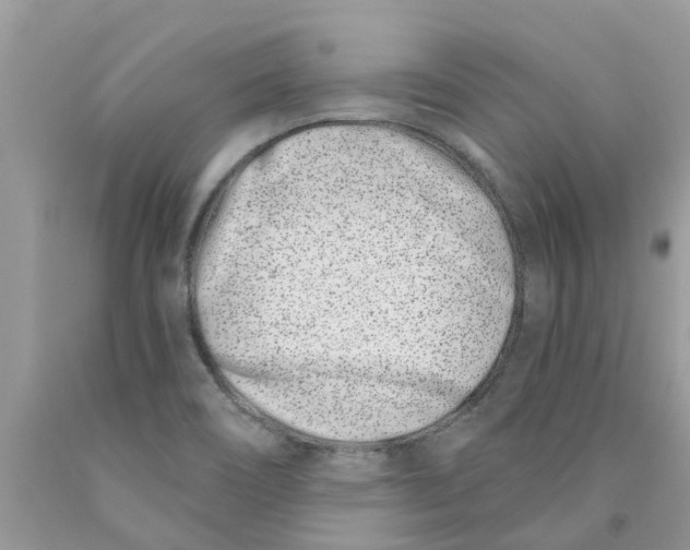 X0000089901466200707262241