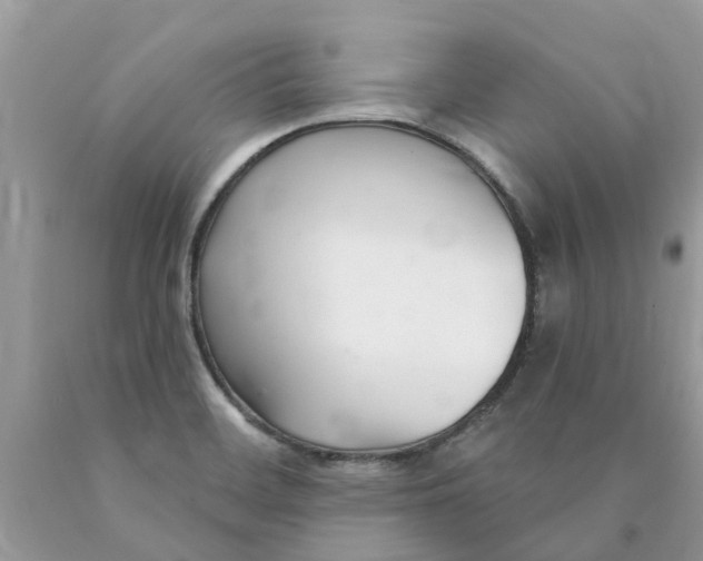 X0000089901468200707262241