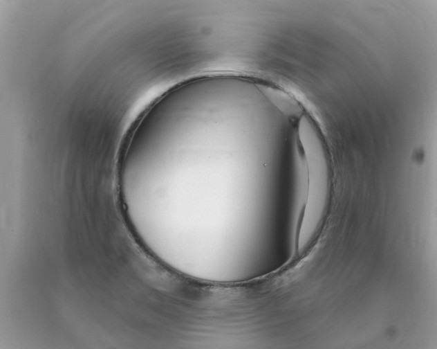X0000089901469200707262241