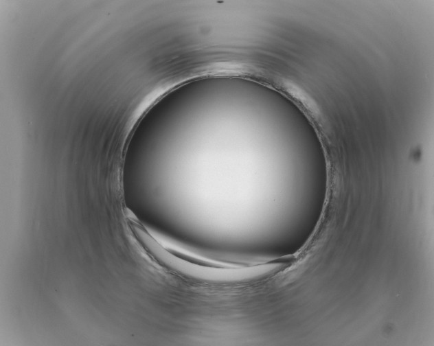 X0000089901473200707262241