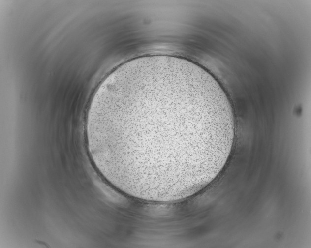 X0000089901474200707262241