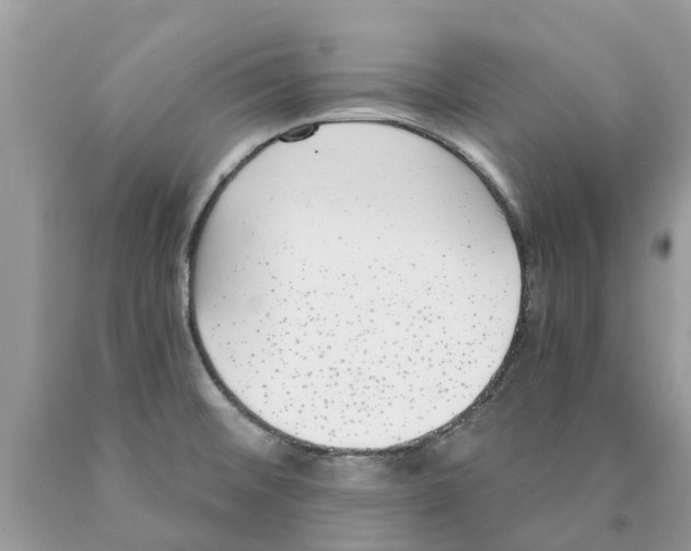 X0000089901476200707262240