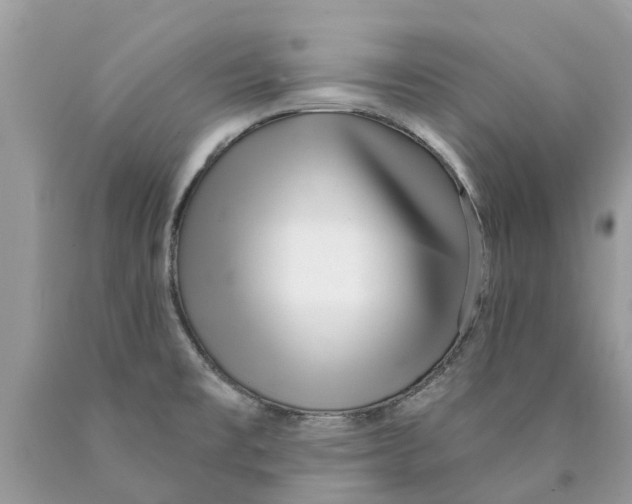 X0000089901477200707262240