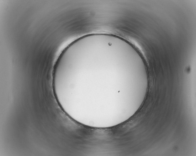 X0000089901480200707262240