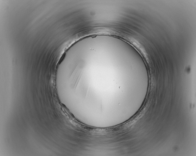 X0000089901481200707262240