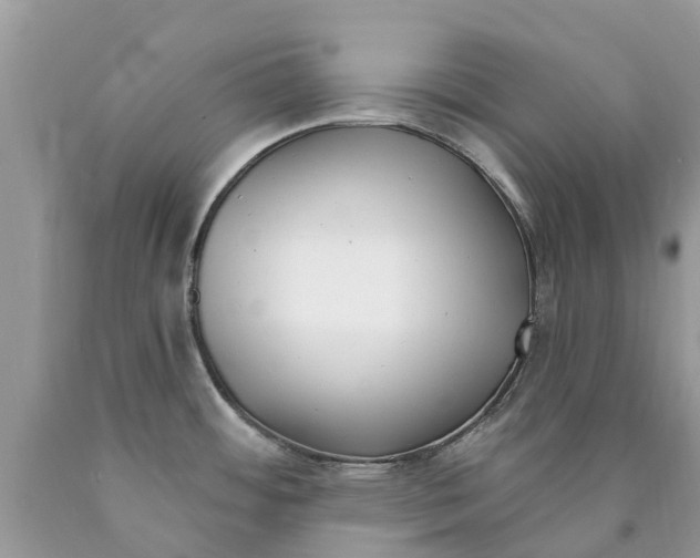 X0000089901484200707262240