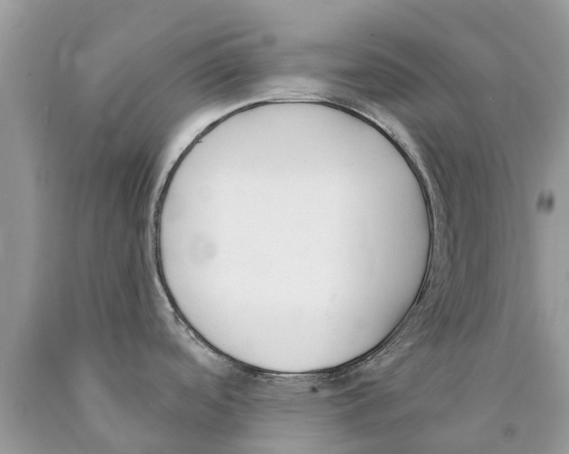 X0000089901488200707262240