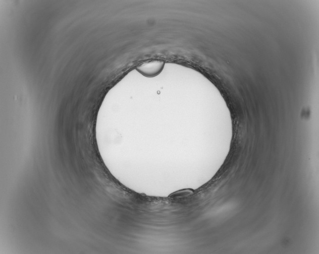 X0000089901489200707262240