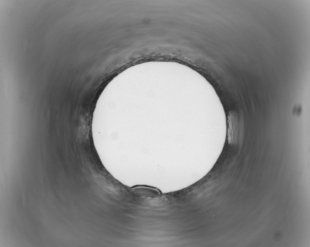 X0000089901491200707262240