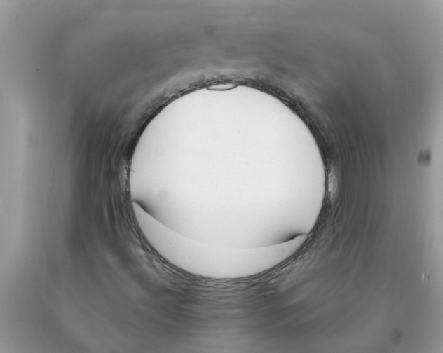 X0000089901492200707262240