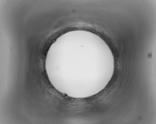 X0000089901493200707262240