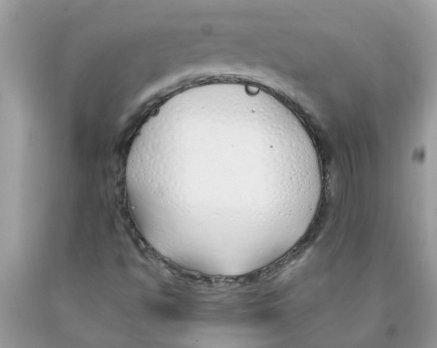 X0000089901494200707262240