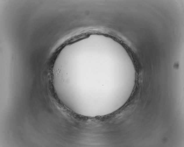 X0000089901496200707262240
