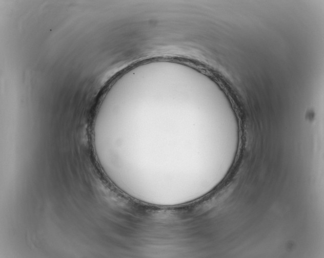 X0000089901497200707262240
