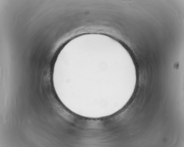 X0000089901498200707262240