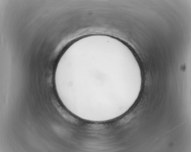 X0000089901499200707262240