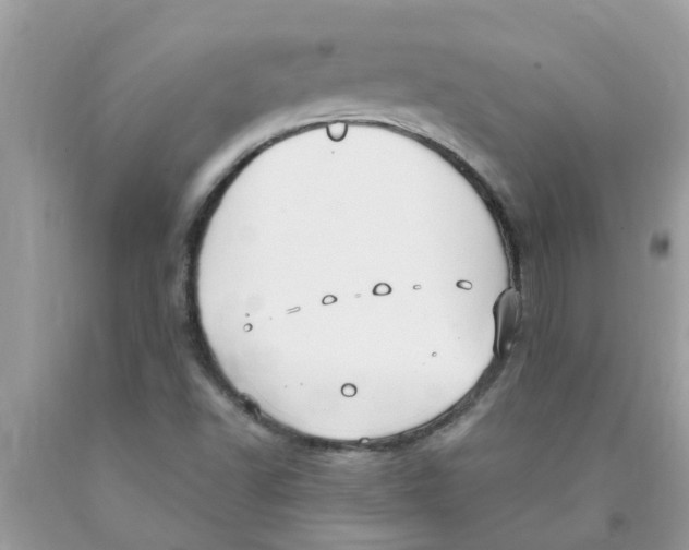 X0000089901502200707262240