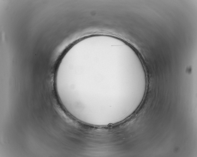 X0000089901503200707262240