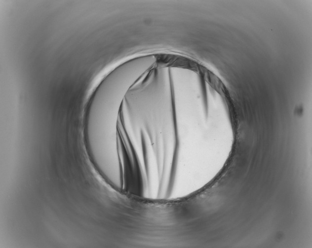 X0000089901508200707262240