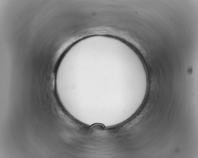 X0000089901509200707262240