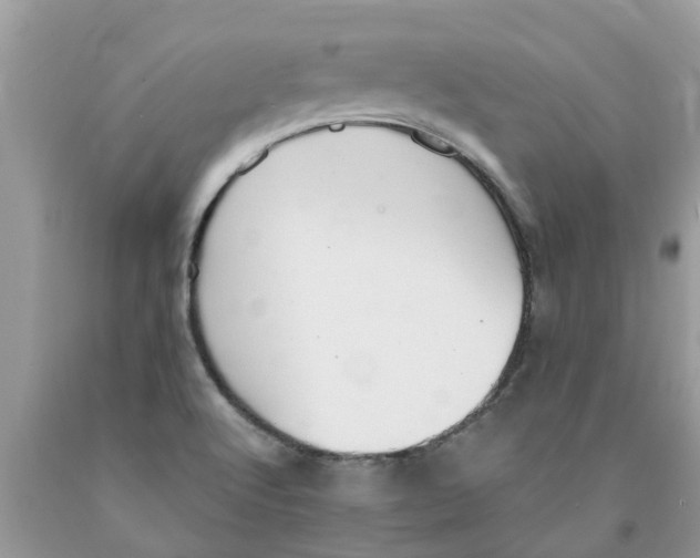 X0000089901512200707262240