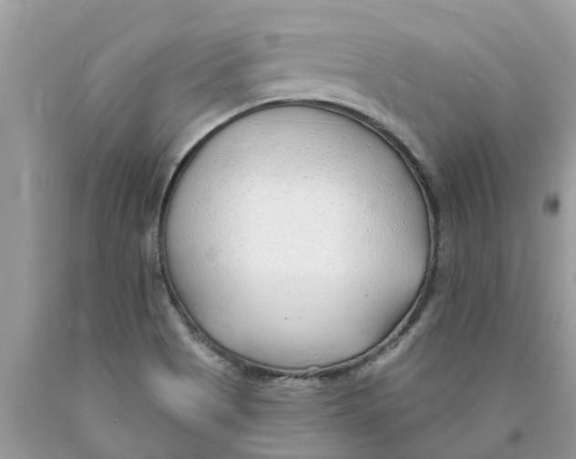 X0000089901513200707262240