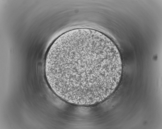 X0000089901514200707262240