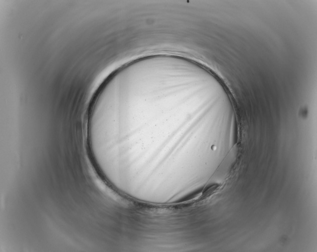 X0000089901515200707262240