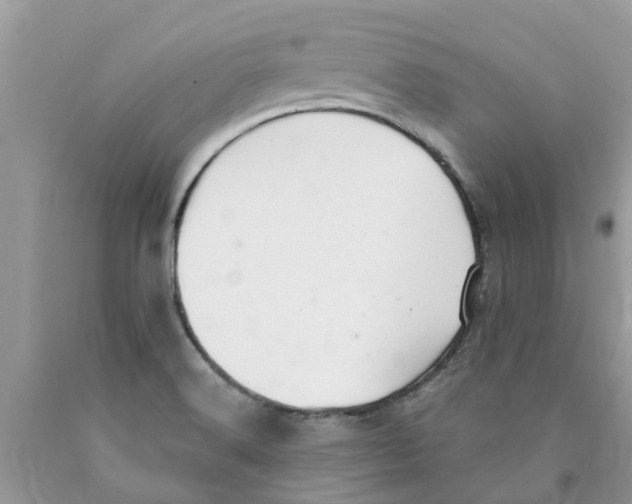 X0000089901516200707262240