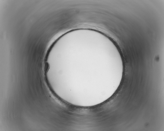 X0000089901517200707262240