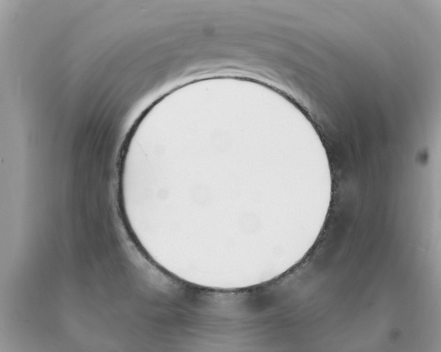 X0000089901518200707262240