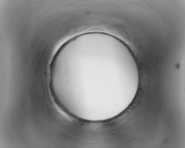 X0000089901519200707262240