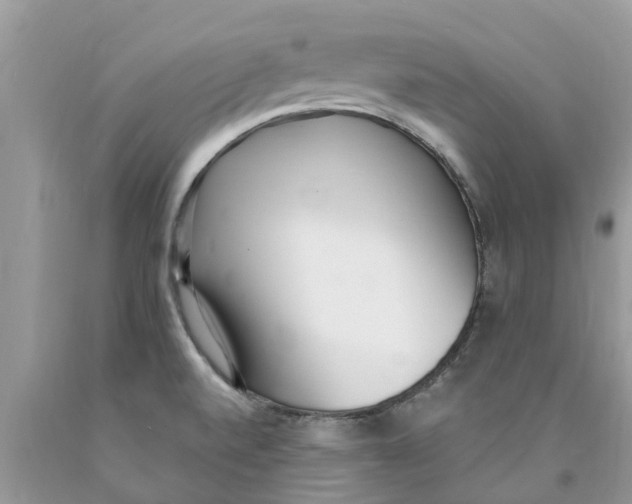 X0000089901520200707262240